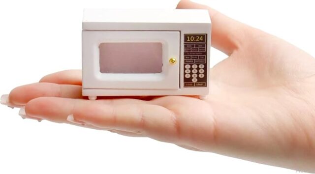 Mini Microwave Oven